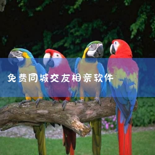 ǿڶַΧĽapp뽻ѡףƵ죬ںϱƭȺʵױϣҶ9׻׻Ǵ_ͬԼ